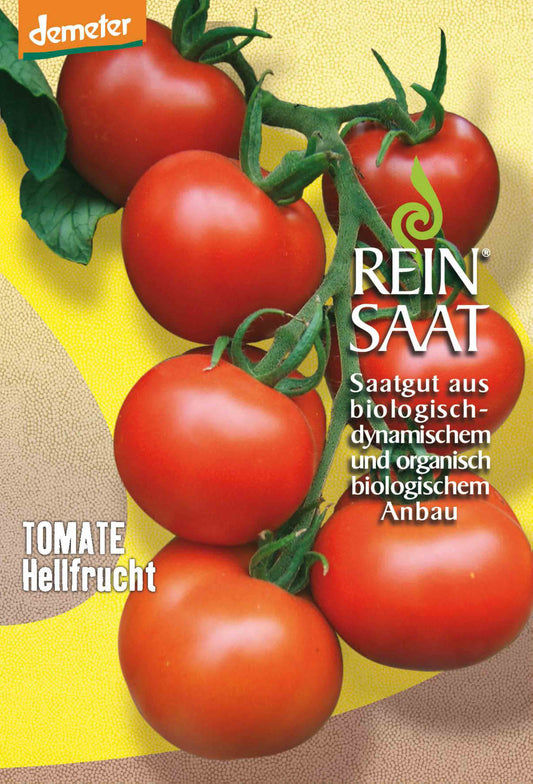 Salattomate Hellfrucht | BIO Kirschtomatensamen von Reinsaat