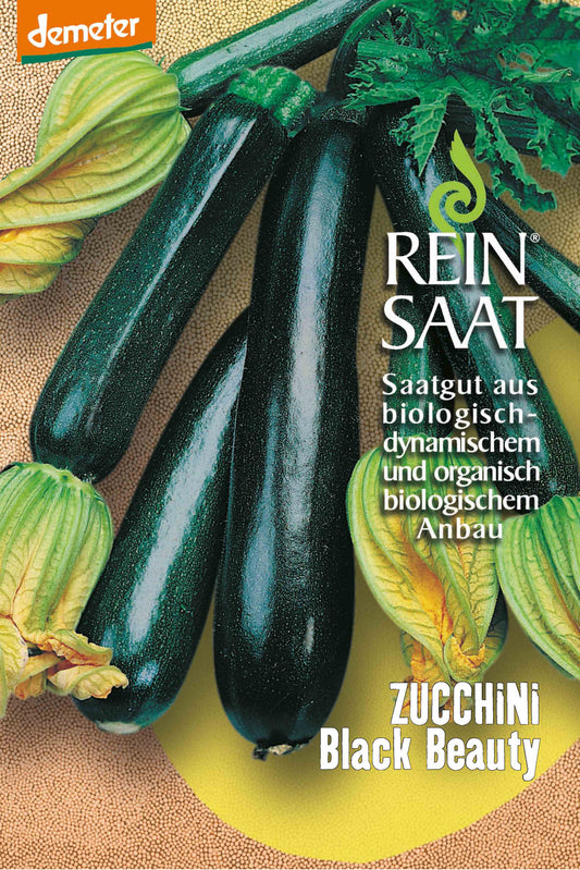 Zucchini Black Beauty | BIO Zucchinisamen von Reinsaat