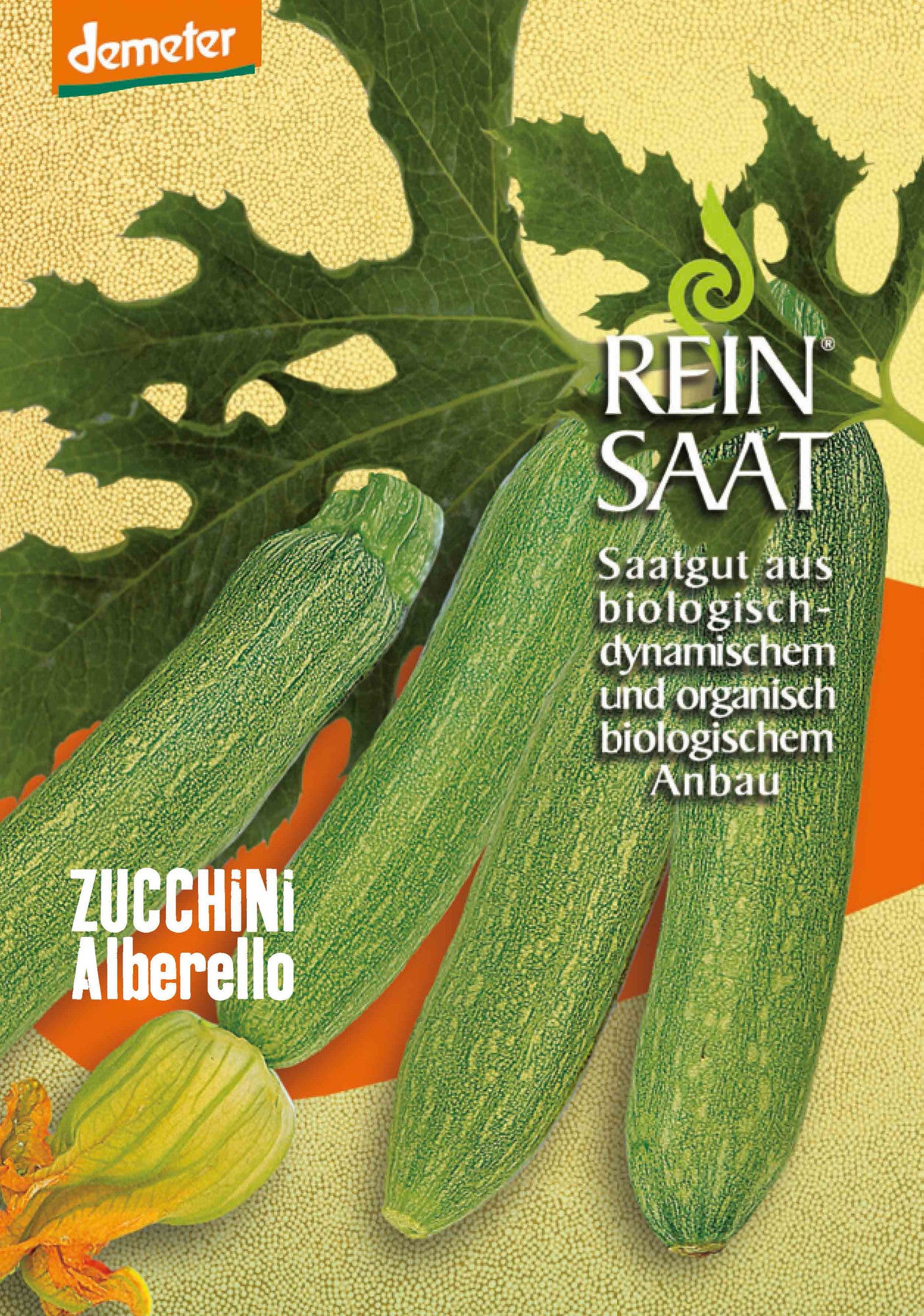 Zucchini Alberello | BIO Zucchinisamen von Reinsaat