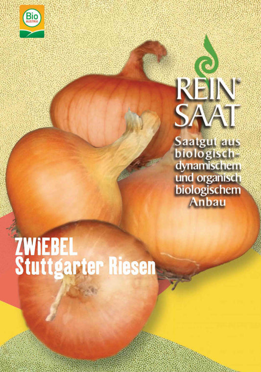Zwiebel Stuttgarter Riesen | BIO Zwiebelsamen von Reinsaat