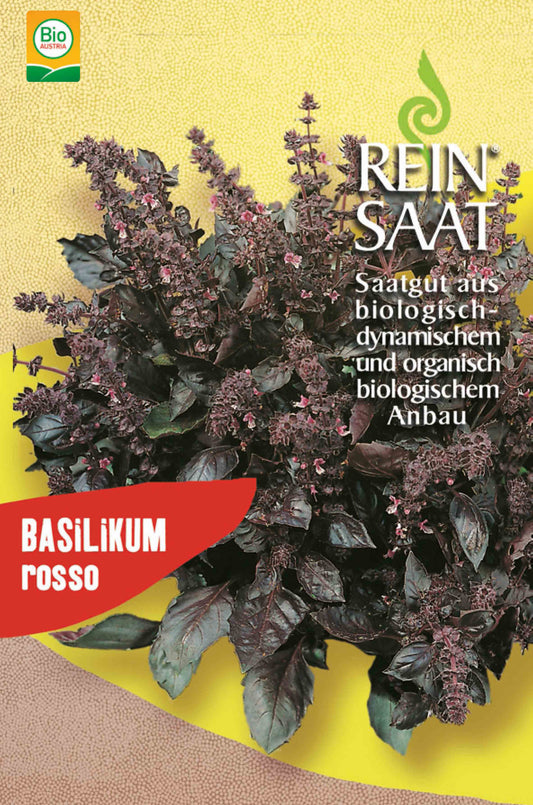 Basilikum Rosso | BIO Basilikumsamen von Reinsaat
