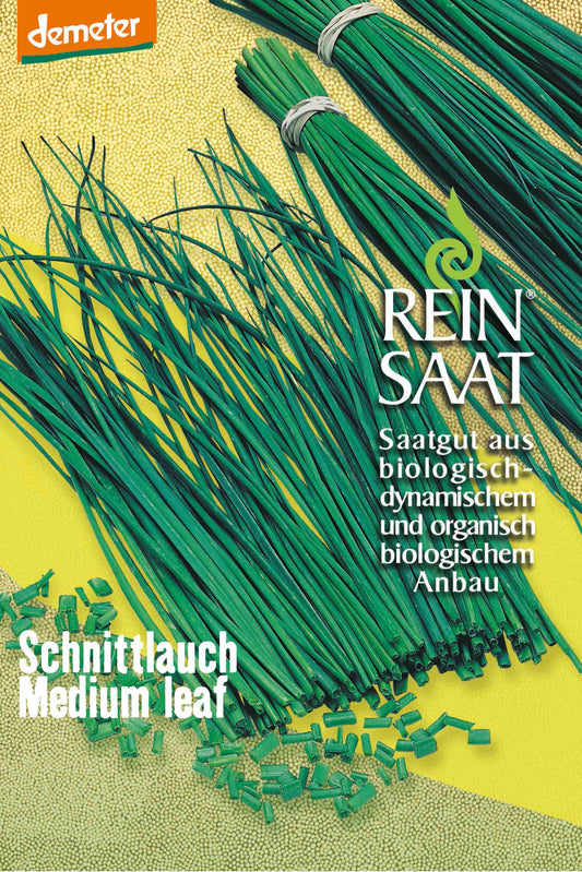 Schnittlauch medium leaf | BIO Schnittlauchsamen von Reinsaat