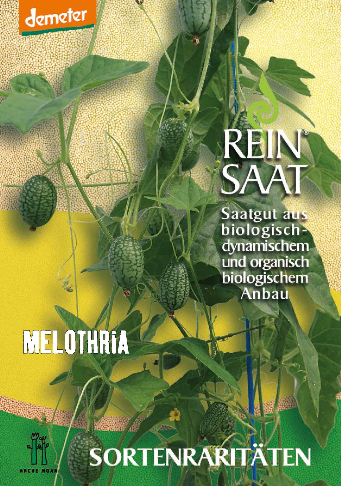 Melothria | BIO Gurkensamen von Reinsaat