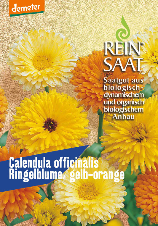 Ringelblume gelb - orange | BIO Ringelblumensamen von Reinsaat