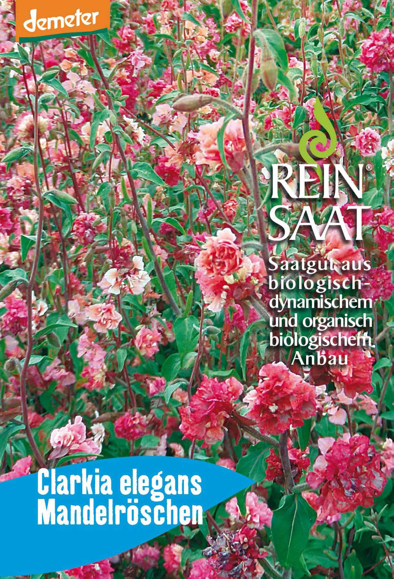 Mandelröschen | BIO Blumensamen von Reinsaat