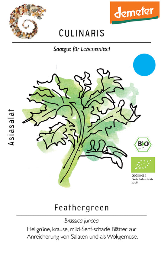 Asiasalat Feathergreen | BIO Asiasalatsamen von Culinaris