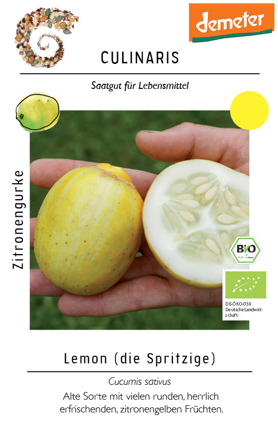 Zitronengurke, Lemon | BIO Zitronengurkensamen von Culinaris