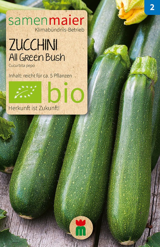 Zucchini All Green Bushgrün | BIO Zucchinisamen von Samen Maier