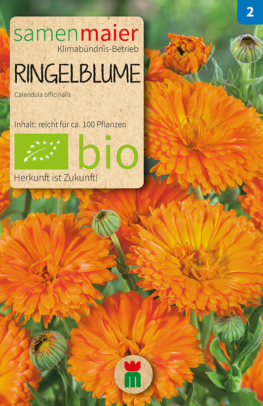 Ringelblume orange | BIO Ringelblumensamen von Samen Maier
