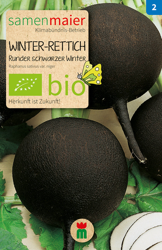 Winter-Rettich Runder schwarzer | BIO Rettichsamen von Samen Maier
