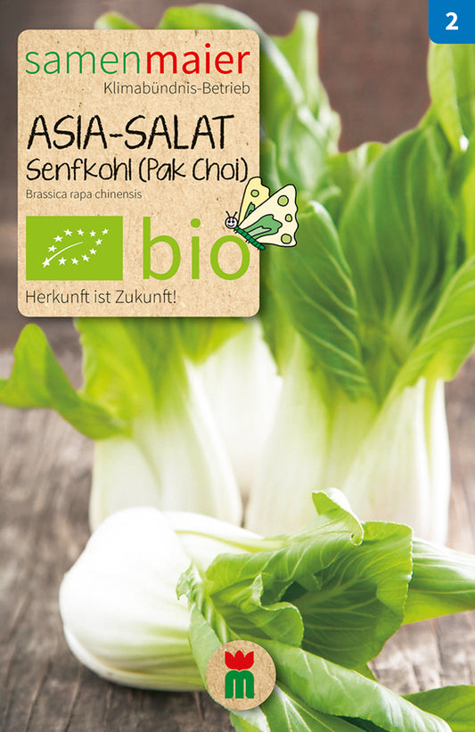 Asia-Salat Senfkohl (Pak Choi) | BIO Asiasalatsamen von Samen Maier