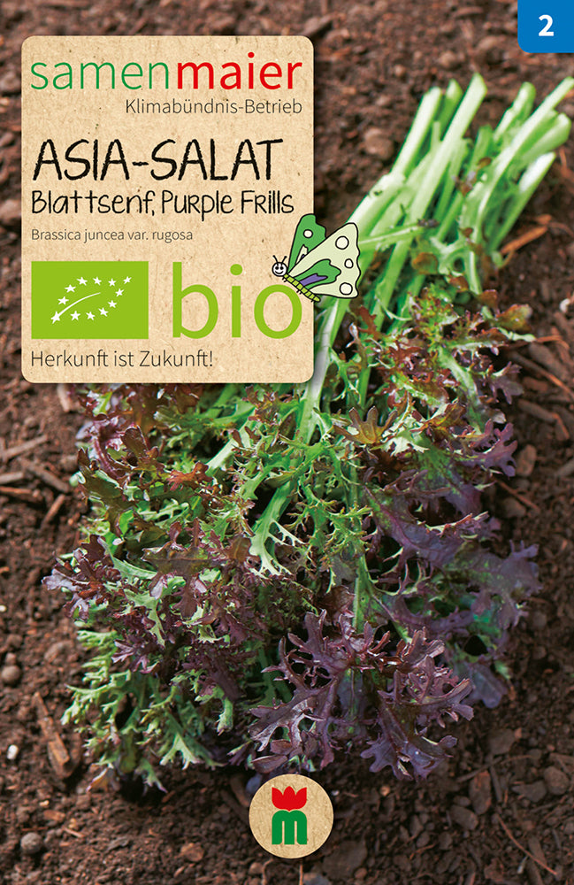 Asia-Salat Blattsenf Purple Frills | BIO Asiasalatsamen von Samen Maier