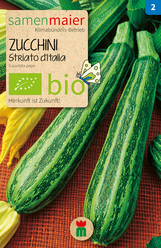 Zucchini Striato d'Italia | BIO Zucchinisamen von Samen Maier