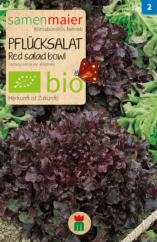 Pflücksalat Red salad bowl | BIO Pflücksalatsamen von Samen Maier