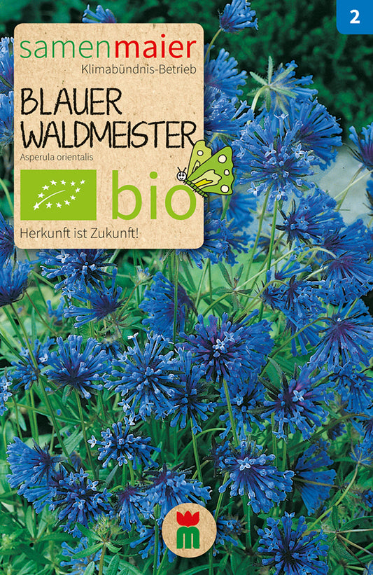 Blauer Waldmeister | BIO Heilpflanzensamen von Samen Maier