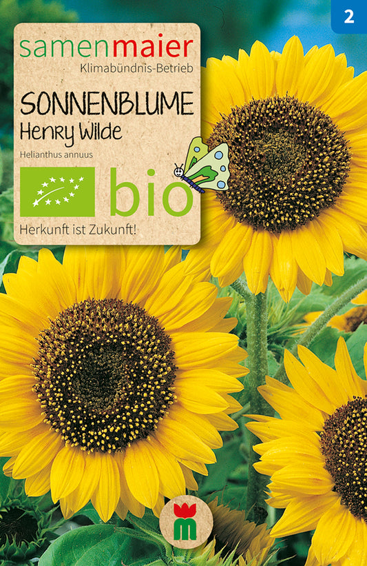 Sonnenblume Henry Wilde | BIO Sonnenblumensamen von Samen Maier