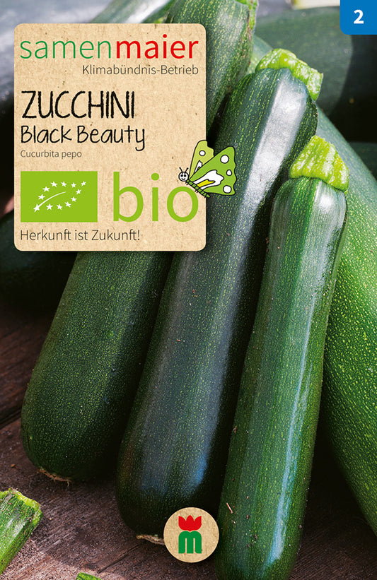 Zucchini Black Beauty | BIO Zucchinisamen von Samen Maier
