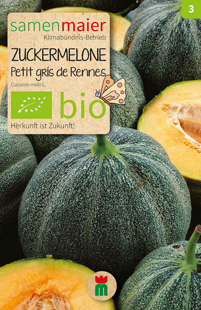 Zuckermelone Petit gris de Rennes | BIO Zuckermelonensamen von Samen Maier [MHD 12/2023]