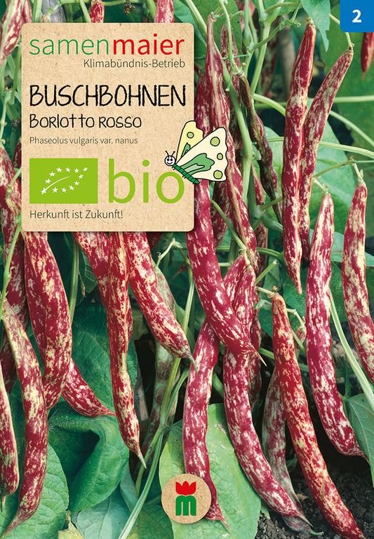 Buschbohne (Auskernbohne) Borlotto rosso | BIO Buschbohnensamen von Samen Maier