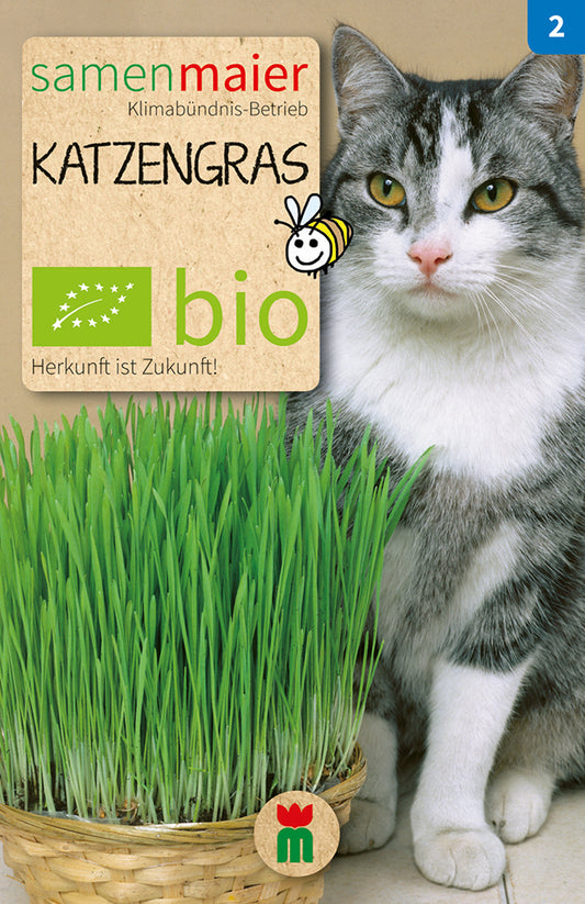 Katzengras | BIO Kleintiersaaten von Samen Maier