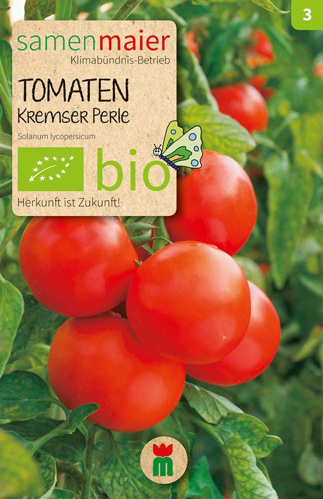 Tomate Kremser Perle | BIO Tomatensamen von Samen Maier