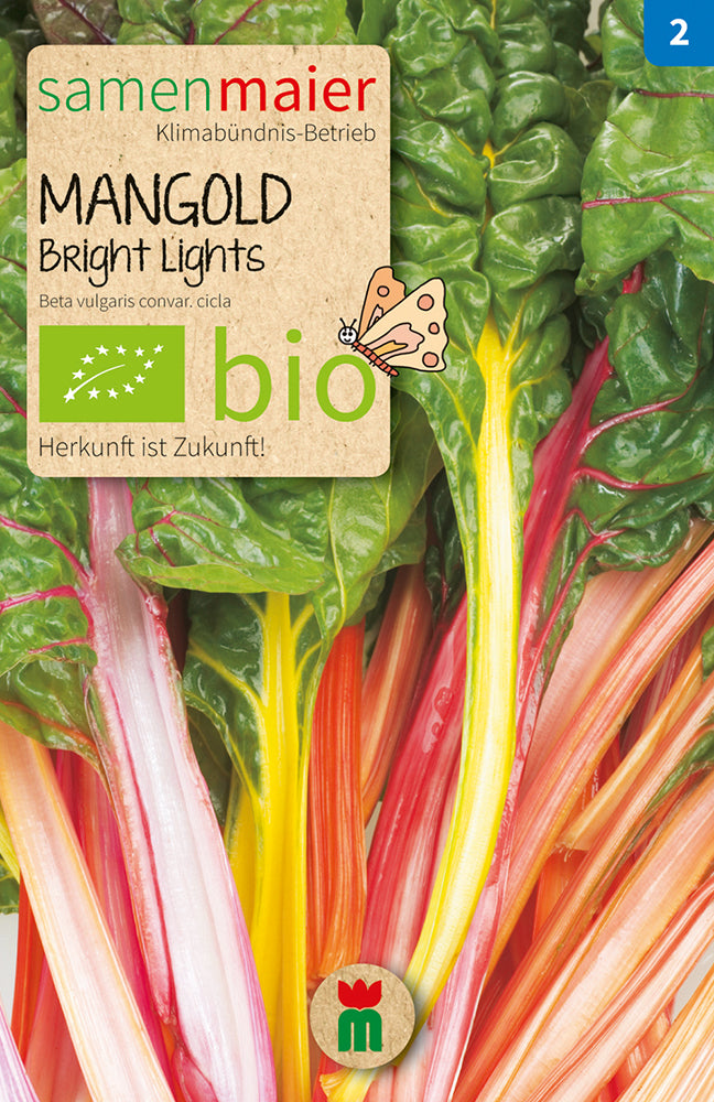 Mangold Bright Lights | BIO Mangoldsamen von Samen Maier