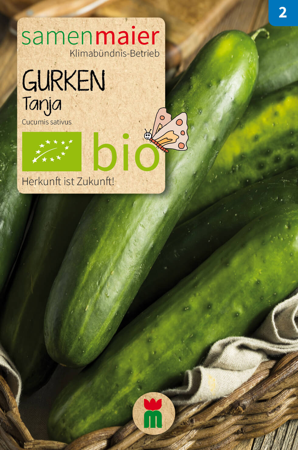 Beet-Box "Gute Nachbarn" | BIO Gemüsesamen-Sets von Samen Maier