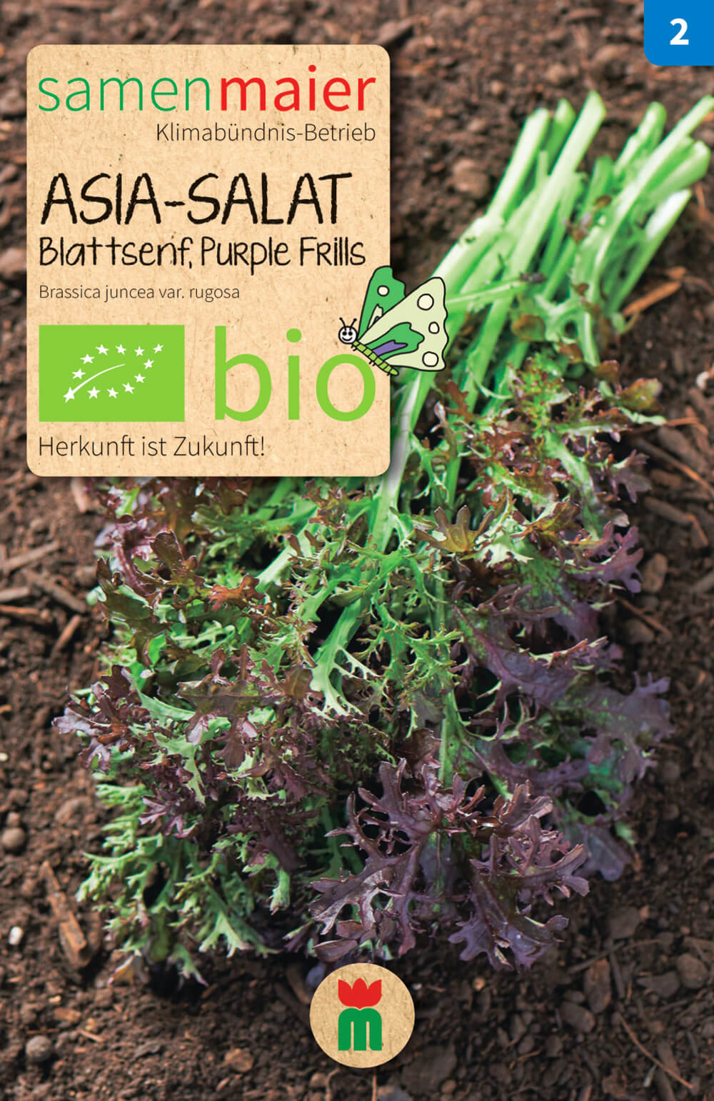 Beet-Box "Für die Gartenfee" | BIO Gemüsesamen-Sets von Samen Maier