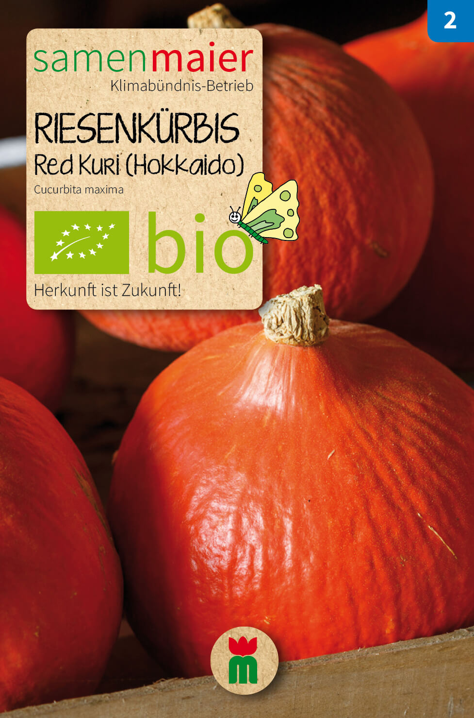Beet-Box "Alles Gute zum Geburtstag" | BIO Gemüsesamen-Sets von Samen Maier