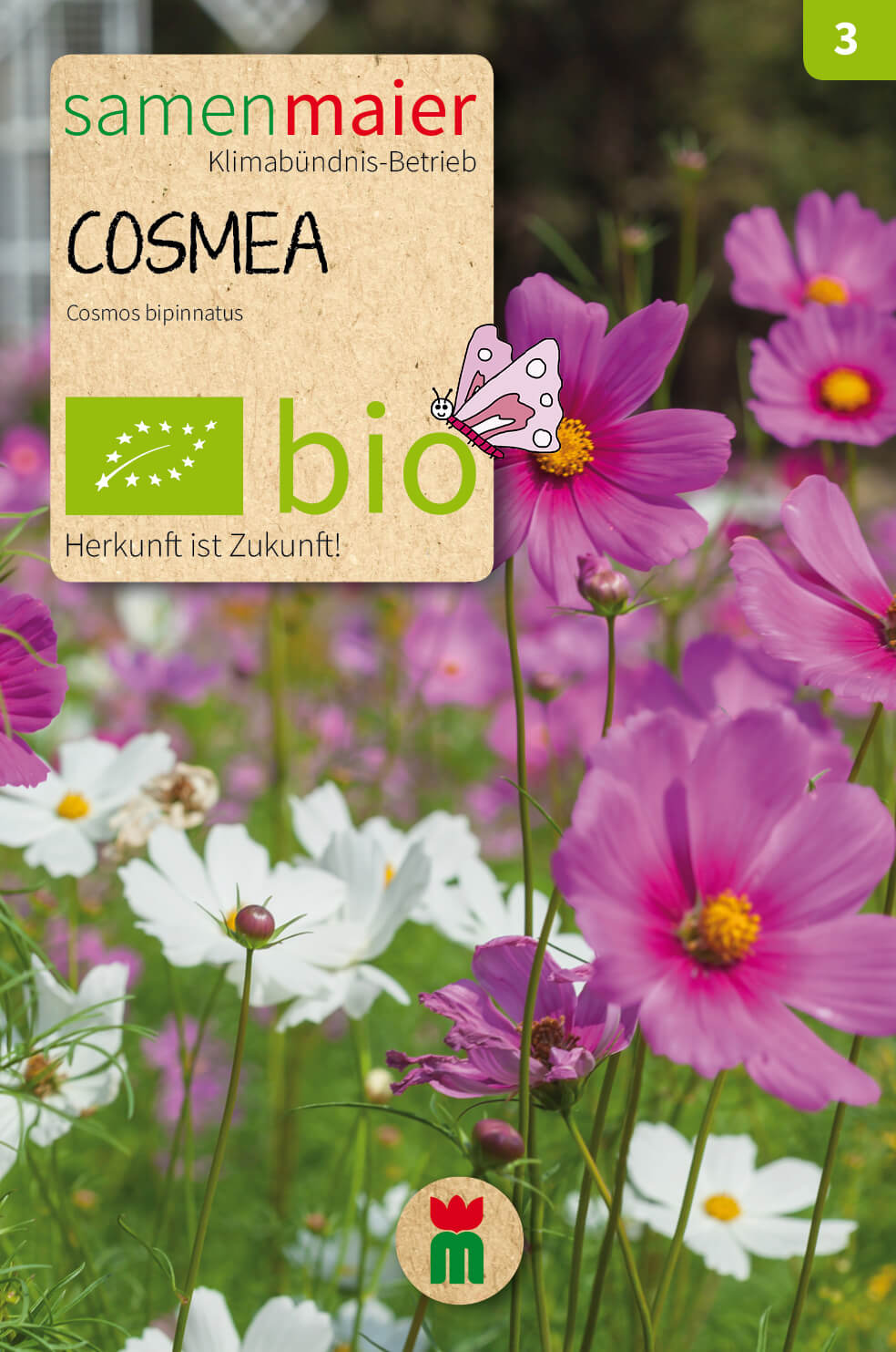 Beet-Box "Für einen Blumengruß" | BIO Blumensamen-Sets von Samen Maier