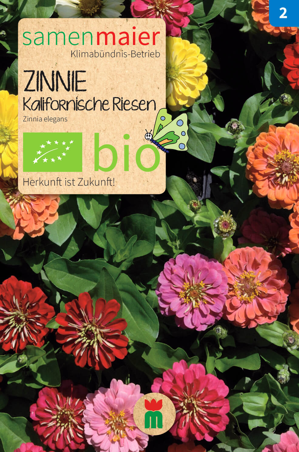 Beet-Box "Für einen Blumengruß" | BIO Blumensamen-Sets von Samen Maier