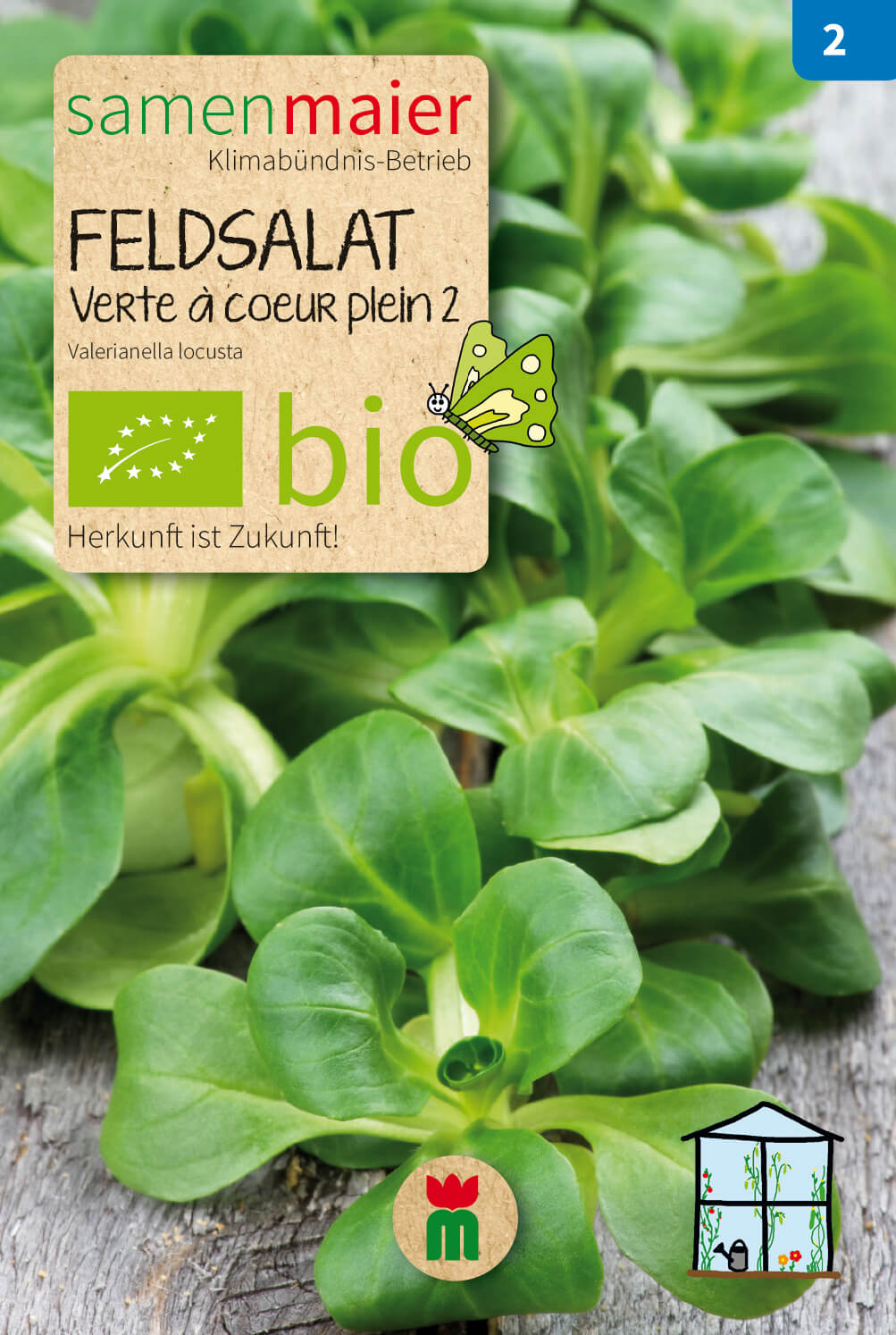 Beet-Box "Für die Herbsternte" | BIO Gemüsesamen-Sets von Samen Maier
