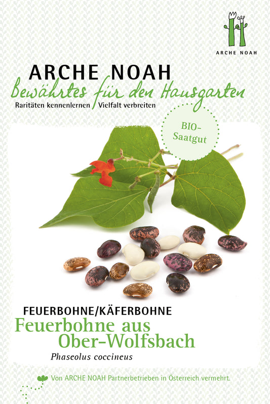 Feuerbohne aus Ober-Wolfsbach | BIO Bohnensamen von Arche Noah