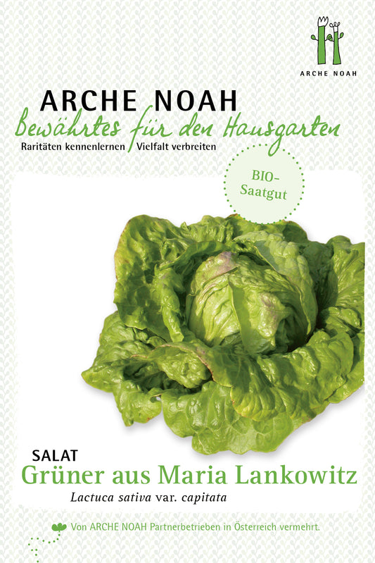 Krachsalat Grüner aus Maria Lankowitz | BIO Salatsamen von Arche Noah