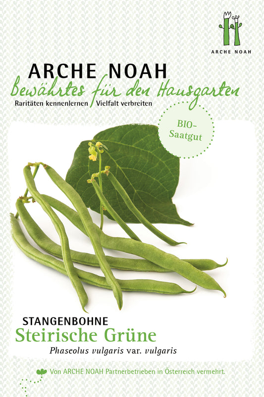 Stangenbohne Steirische Grüne | BIO Stangenbohnesamen von Arche Noah
