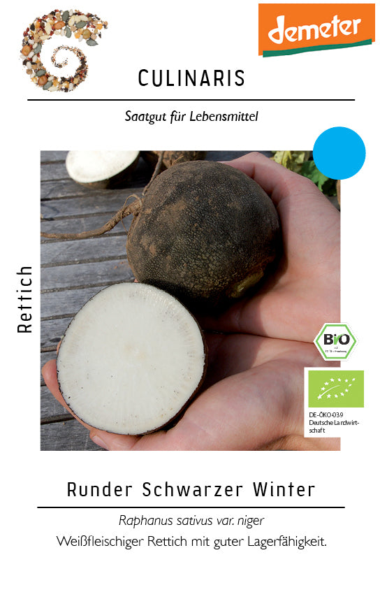 Schwarzer Rettich | BIO Rettichsamen von Culinaris [MHD 01/2024]