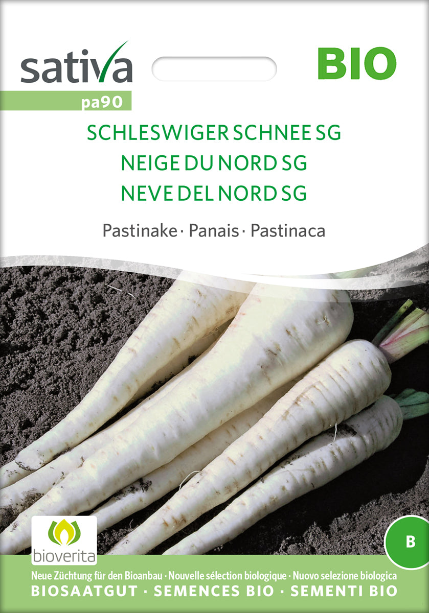 Pastinake Schleswiger Schnee SG | BIO Gründüngersamen von Sativa Rheinau