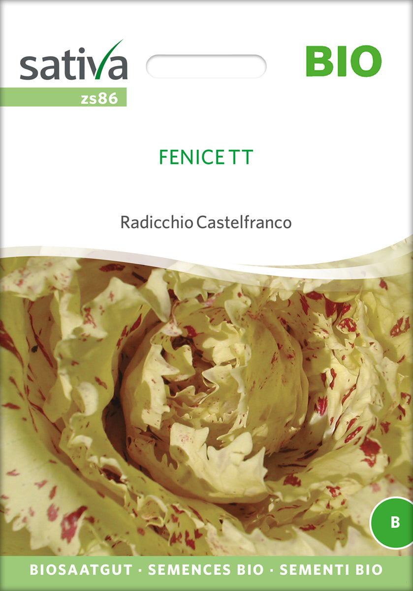 Radicchio Castelfranco Fenice | BIO Salatsamen von Sativa Rheinau
