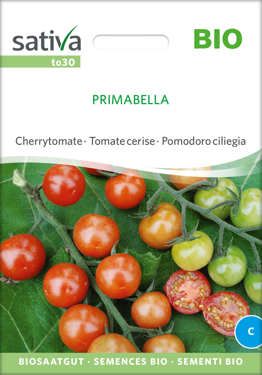 Cherrytomate Primabella | BIO Kirschtomatensamen von Sativa Rheinau