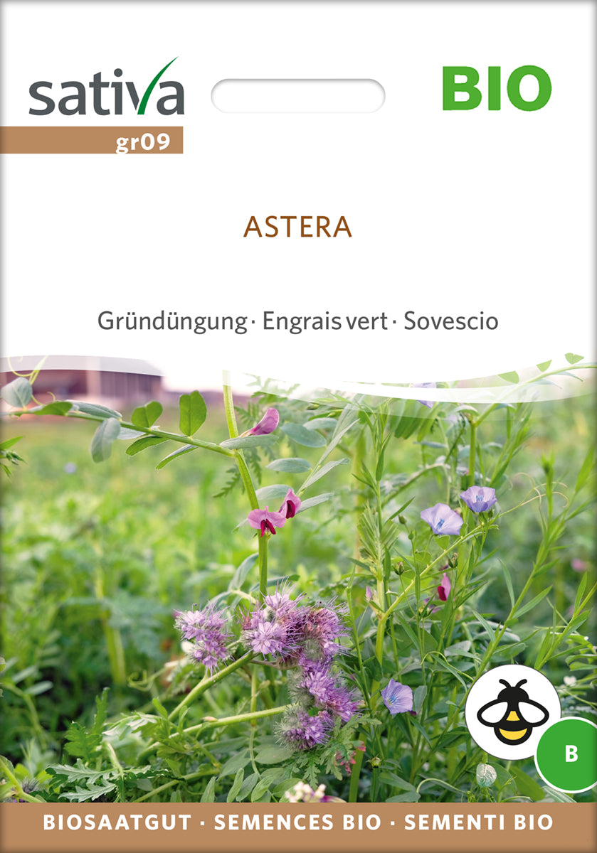 Gründüngung Astera | BIO Gründünger von Sativa Rheinau