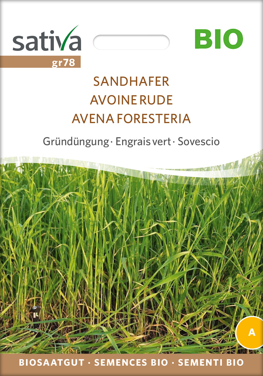 Gründüngung Sandhafer | BIO Gründünger von Sativa Rheinau