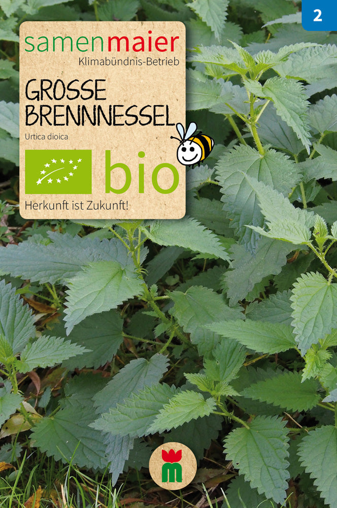 Große Brennnessel | BIO Heilpflanzensamen von Samen Maier
