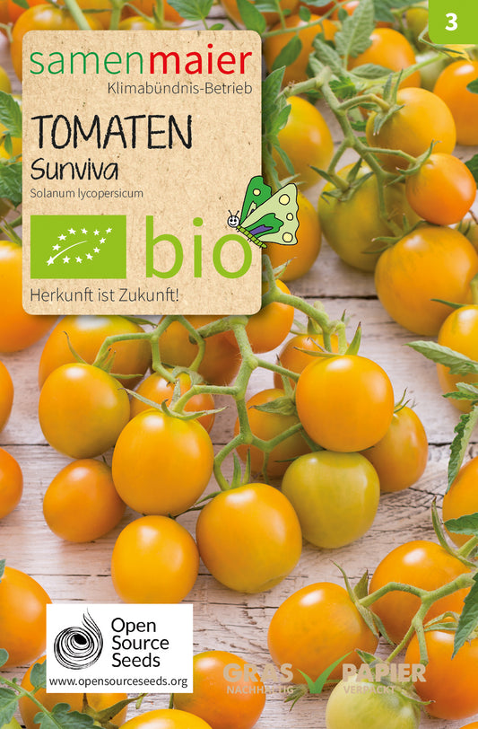 Tomate Sunviva | BIO Tomatensamen von Samen Maier