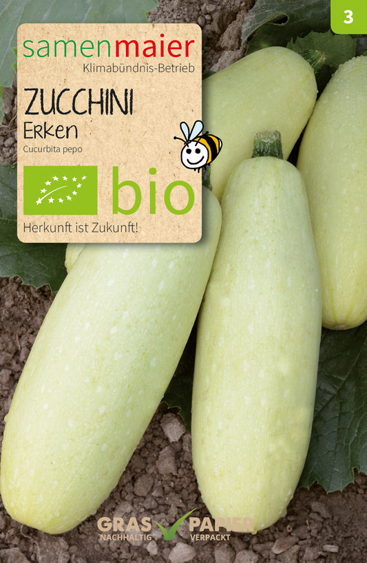 Zucchini Erken | BIO Zucchinisamen von Samen Maier [MHD 12/2023]