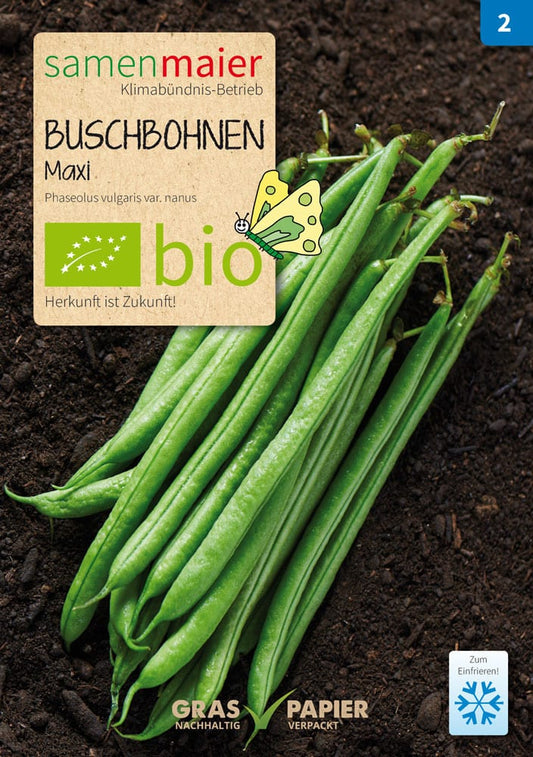 Buschbohne Maxi | BIO Buschbohnensamen von Samen Maier