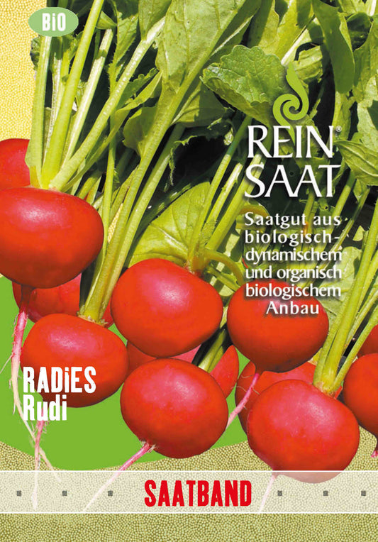 Radies Rudi (Saatband) | BIO Radieschensamen von Reinsaat
