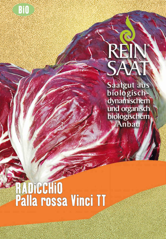 Radicchio Palla rossa Vinci TT | BIO Salatsamen von Reinsaat