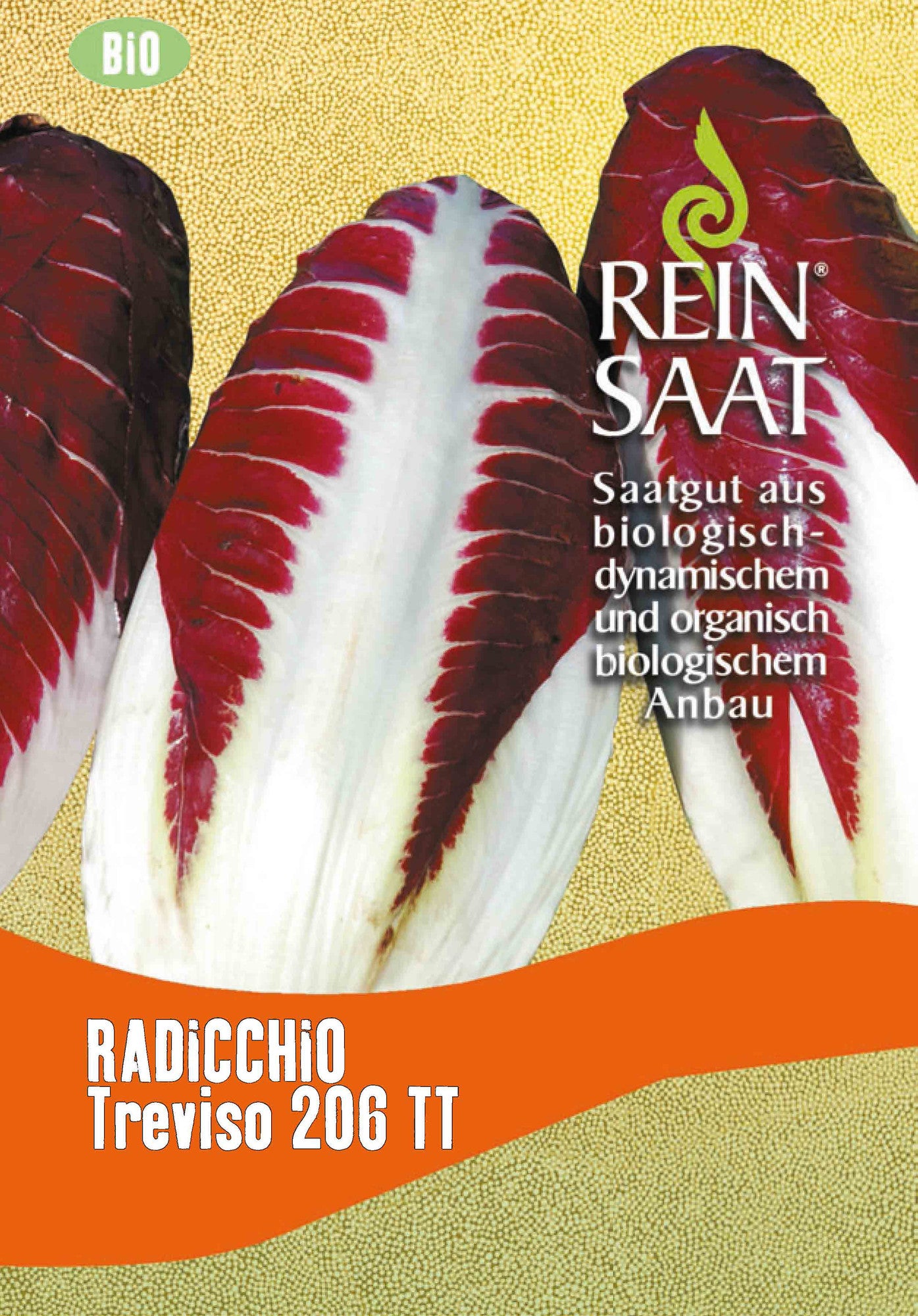 Radicchio Treviso 206 TT | BIO Salatsamen von Reinsaat