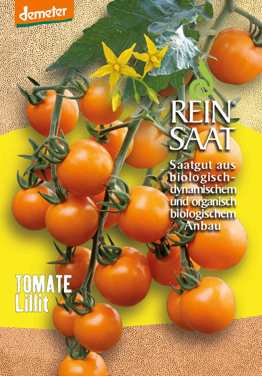 Tomate Lillit | BIO Tomatensamen von Reinsaat