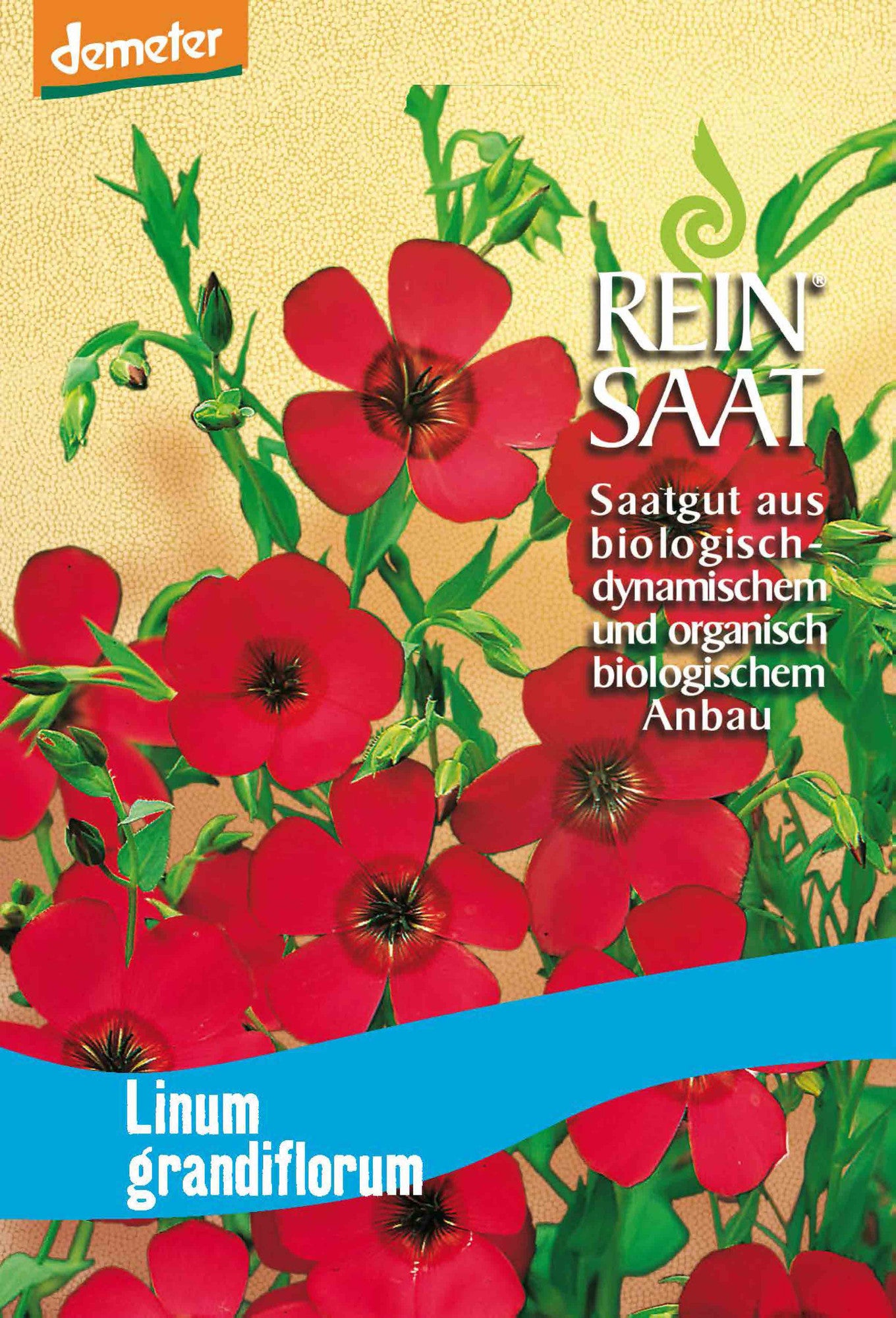 Roter Lein | BIO Blumensamen von Reinsaat